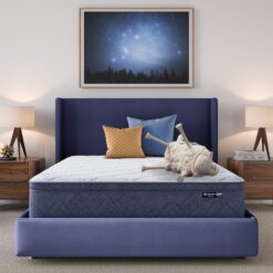 Serta 12-in Plush Queen Cooling Hybrid Memory Foam/Coil Blend Mattress in a Box