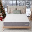 Novilla 12-in Firm Queen Memory foam Mattress in a Box