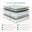 Novilla 10-in Medium Queen Hybrid Memory Foam/Coil Blend Mattress in a Box