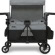 Delta Children - Jeep Aries Stroller Wagon - Premium Wagon for 2 Kids with Convertible Seats, Adjustable Push/Pull Handles, Removable Canopy & Flat Fold - Greenguard Gold Certified, Grey