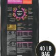 Purina Pro Plan Sensitive Skin and Stomach Dog Food Dry, Adult Salmon & Rice Formula, Digestive Health - 40 lb. Bag