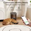 NPET 4L Automatic Pet Feeder with Stainless Steel Bowl, 1–9 Portions