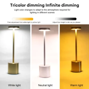 USB Rechargeable Touch Table Lamp with Stepless Dimming, 3 Color Bedside Lamp