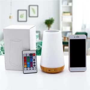 RGB Color Changing Night Light, USB Rechargeable Touch and Remote Control Table Lamp