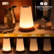 RGB Color Changing Night Light, USB Rechargeable Touch and Remote Control Table Lamp
