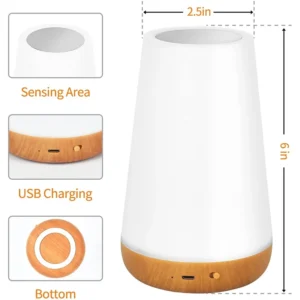 RGB Color Changing Night Light, USB Rechargeable Touch and Remote Control Table Lamp