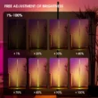 RGB LED Floor Lamp with Music Sync, Smart Corner Floor Light