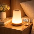 RGB Color Changing Night Light, USB Rechargeable Touch and Remote Control Table Lamp
