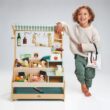 Tender Leaf Toys - General Stores - Toy Set for Kids - Beautiful Market Stall with Shelves Pretend Play Toy Set for Kids 3+