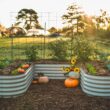 Vego Garden 92-cu ft 84-in W x 138-in L x 17-in H Olive Green Galvanized Metal Raised Garden Bed