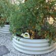 Vego Garden 42-in W x 42-in L x 17-in H Pearl White Metal Raised Garden Bed