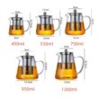 Borosilicate Glass Teapot with Removable Stainless Steel Infuser – Heat-Resistant Clear Tea Kettle