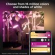 Philips Hue Lily Outdoor 8 -Watt Black Low voltage Plug-in Smart Compatible LED Spot light kit