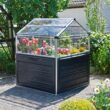 Canopia by Palram Plant Inn 4-ft L x 4-ft W x 4.8-ft H Gray/Clear Greenhouse Kit