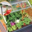 Canopia by Palram Plant Inn 4-ft L x 4-ft W x 4.8-ft H Gray/Clear Greenhouse Kit