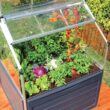 Canopia by Palram Plant Inn 4-ft L x 4-ft W x 4.8-ft H Gray/Clear Greenhouse Kit