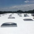 Countryman Coatings 100% Silicone Skylight Coating (Translucent) Protect and Waterproof Your Skylights - Allow Natural Light In - No Primer Required (5 Gallon)