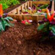 Vita 60.5-cu ft 72-in W x 72-in L x 22-in H Golden Brown Cedar Raised Garden Bed
