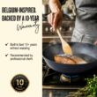 alva Forest 4-Piece Blue Carbon Steel Frying Pan Skillet Non-Toxic Pre-Seasoned Pans and Wok