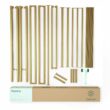 Zinus Queen Gold Metal Bed Frame with Headboard