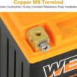 Weize Lithium YTX14-BS, Group 14, 500A LiFePO4 Motorcycle Battery, 12V 5AH ATV, UTV, Jet Ski, 4 Wheeler, Snowmobile, Personal Watercraft, Seadoo, Polaris, Generator and Riding Lawn Mower Battery