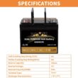 Weize Dual Purpose AGM Battery BCI Group 24M, Starter & Deep Cycle 150RC 550CCA 12V 90AH Sealed Marine & RV Battery