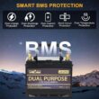 WEIZE 12V 105AH 1000CCA Dual Purpose LiFePO4 Battery, Group 31 Starting Lithium Battery Plus Deep Cycle Performance, Built-in Smart BMS, Perfect for Trolling Motor, Marine, RV WEIZE 12V 105AH 1000CCA Dual Purpose LiFePO4 Battery, Group 31 Starting Lithium Battery Plus Deep Cycle Performance, Built-in Smart BMS, Perfect for Trolling Motor, Marine, RV