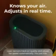 Windmill Smart 3-in-1 True HEPA Air Purifier, Natural Wood