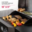 Frigidaire Dual Element 1750 -Watt Black Electric Grill