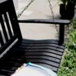 Cambridge Casual Thames 2 -person Black Mahogany Wood Outdoor Swing