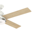 Casablanca Daphne 54-in Fresh White with Rustic Oak/Fresh White Blades LED Ceiling Fan With Light and Wall Control Included 4 -Blade