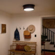 Kichler Serca 18-in Black Indoor 3 -Light Flush Mount Light with Etched Glass