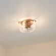 Kichler Alton 18.5-in Natural Brass Indoor 3 -Light Flush Mount Light with Etched Glass