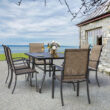 Nuu Garden 7 -Piece Black Patio Dining Set Iron Rectangle Table with 6 Brown Stationary Chairs