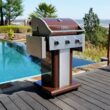 Permasteel Mocha 3 -Burner Liquid Propane Gas Grill