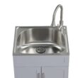 Style Selections 21.4-in x 24.1-in 1 -Basin Light Gray Freestanding Utility tub with Cabinet with Drain with Faucet
