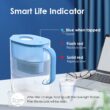 Waterdrop 8-stage G3P600 with PT Pitcher Composite/Activated carbon Reverse Osmosis Filtration Under Sink Water Filtration System with LED Purifier Stainless Steel Smart faucet Faucet