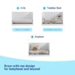 GracoÂ Theo 3-in-1 Convertible Crib with Drawer - White