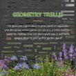 Wooakway 2-pc 6 ft. Hx 4 ft. W Raised Garden Bed Metal Planter Box with Trellis Wheels Privacy Screen Elevated Planter - Black