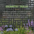 Wooakway 2-pc 4 ft. Hx 4 ft. W Raised Garden Bed Metal Planter Box with Trellis Wheels Privacy Screen Elevated Planter - Black