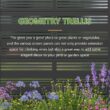 Wooakway 2-pc 4 ft. Hx 4 ft. W Raised Garden Bed Metal Planter Box with Trellis Wheels Privacy Screen Elevated Planter - Black