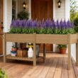Blisstyle Elevated Garden Bed Wood Raised Garden Box with Side Table Bottom Shelf Bed Liners and Drainage Holes Flower Plant Pots for Plants Indoor Outdoor Planter