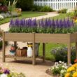 Blisstyle Elevated Garden Bed Wood Raised Garden Box with Side Table Bottom Shelf Bed Liners and Drainage Holes Flower Plant Pots for Plants Indoor Outdoor Planter