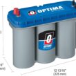 OPTIMA Batteries High Performance D31M BLUETOP Dual Purpose Deep Cycle and Starting Sealed AGM Boat and RV Battery, 900 CCA, Dual Terminal, Maintenance Free, Versatile Mounting