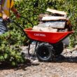 Cardinal 4-cu ft 2 Wheel Steel Powered Wheelbarrow