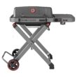 Feasto 360-Sq. in Gray Portable Liquid propane Grill