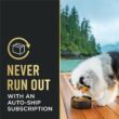 Purina Pro Plan Sensitive Skin and Stomach Dog Food Dry, Adult Salmon & Rice Formula, Digestive Health - 30 lb. Bag