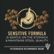 Purina Pro Plan Sensitive Skin and Stomach Dog Food Puppy Salmon and Rice Formula - 24 lb. Bag