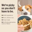 The Honest Kitchen Human Grade Dog Food, Whole Food Clusters Grain Free Lamb Dry Dog Food, 18 lb Bag