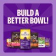 Wellness Complete Health Sensitive Skin and Stomach Dry Dog Food, Wholesome Grain Kibble, Natural, Chicken Free, Salmon and Rice Recipe, 38 lb Bag